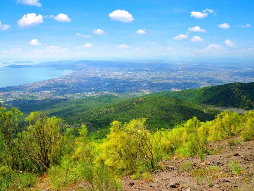 Vesuvio easy tour from Naples - The minibus ride up: quick access to the climb