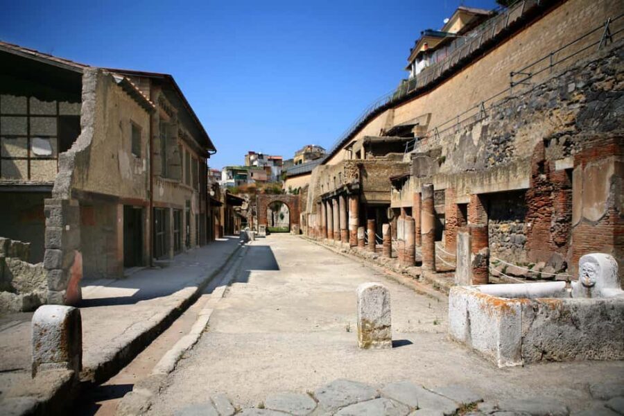Vesuvius and Herculaneum - Tickets handled: skip-the-line entry without the hassle