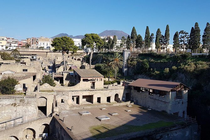Vesuvius and Herculaneum Day Trip from Naples with Skip the Line - The value: what your $120.41 is really paying for