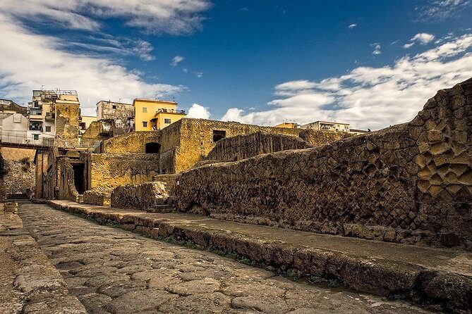 Vesuvius and Herculaneum Day Trip from Naples with Skip the Line - Who this tour suits (and who should skip it)
