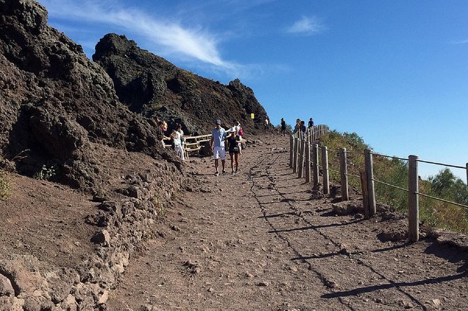 Vesuvius: Half Day Trip from Naples - The main thing to watch before you book