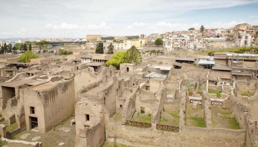 Vesuvius - Herculaneum - Pompeii Excavations Tour - Who should book this Vesuvius–Herculaneum–Pompeii tour
