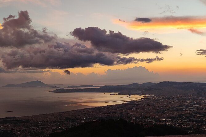 Vesuvius, V.I.P. the only Tour with Volcanological Guide - Who this tour is best for