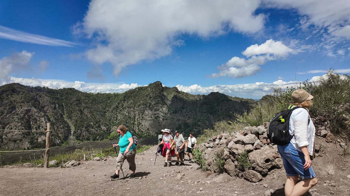 Vesuvius Volcano Experience: from Naples, Pompeii and Rome - The Walk Up: A Self-Paced Hike With an Audio Guide