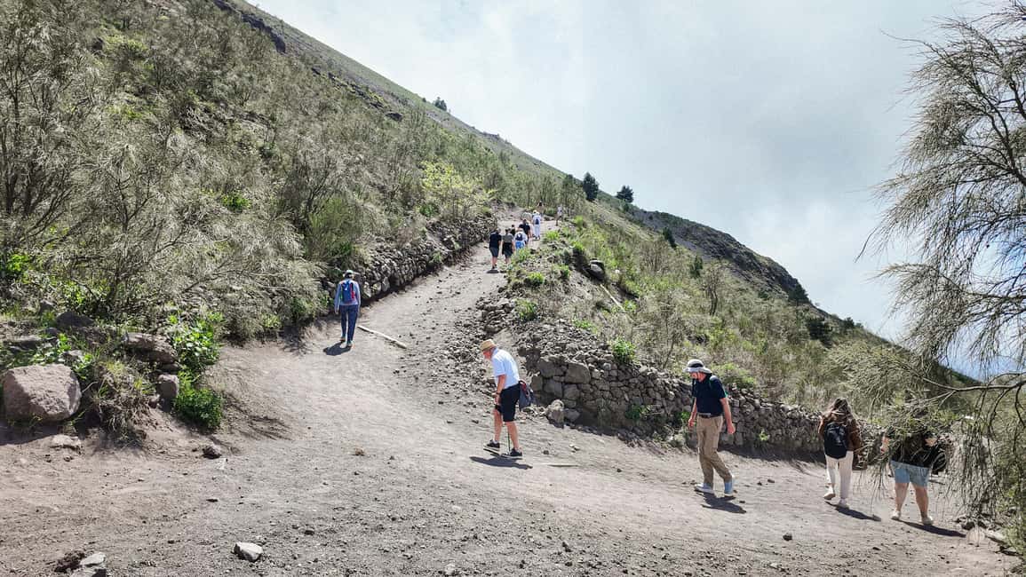 Vesuvius Volcano Experience: from Naples, Pompeii and Rome - How the Smart Audio Guide Improves the Whole Day