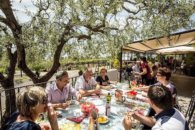Vesuvius Wine Tasting Experience with Lunch Included - Key highlights you’ll feel during the tour