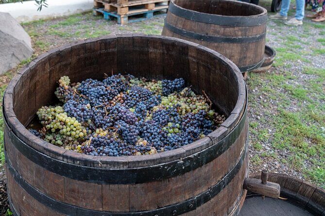 Vesuvius Wine Tasting Experience with Lunch Included - Price and logistics: whether $88.72 per person feels fair
