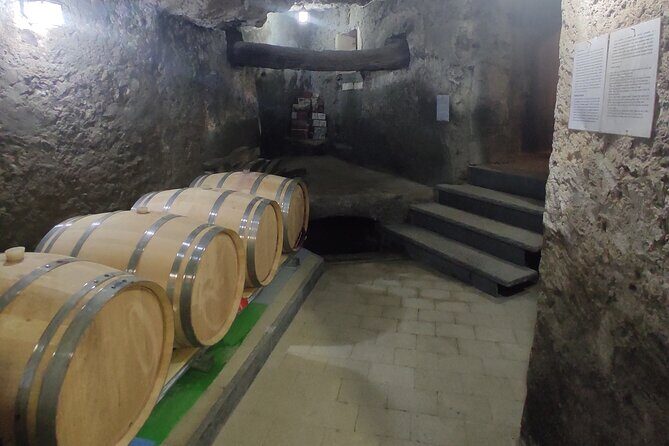 Vesuvius wine tasting with company tour - Key takeaways before you go