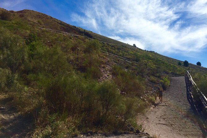 Vintage Van Experience: Tour and Transfer to Mt. Vesuvius - The Drive Up: Lava Stone Sculptures and a Quick Road-Walk Break