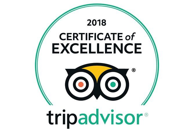 VIP Guided Tour Rome Colosseum, Vatican Museums, lunch included - How to Prepare So the Day Runs Smoothly