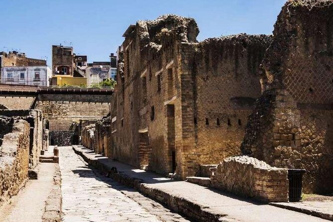 Visit Herculaneum with an expert professional guide (2/3 hours) - Taste and Crafts at Azienda Agricola Ercolani: More Than a Quick Break