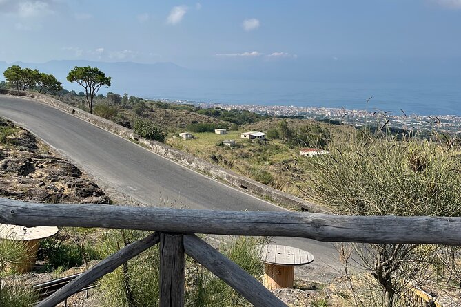 Visit Mt Vesuvius & Pompeii skip the line tickets from naples - Optional vineyard wine tasting: a nice break, if it fits your style