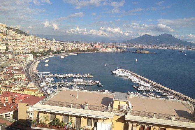Visit Mt Vesuvius & Pompeii skip the line tickets from naples - Skip-the-line ticket access and the key reality about guides