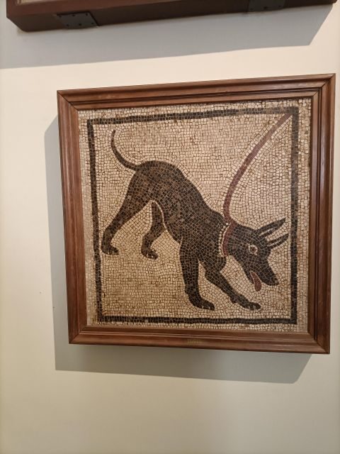 Visit the Museum MANN with a professional guide - Greek, Roman, and Renaissance rooms you’ll actually understand