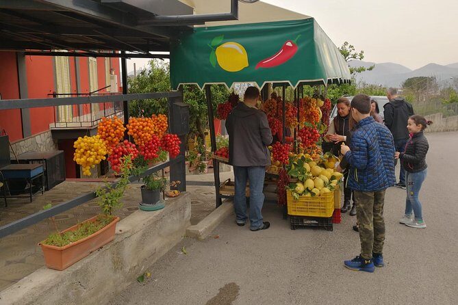 Wine & Food Tour at the Vesuvius Winery - Pompeii time: a focused Pontifical/Sanctuary visit