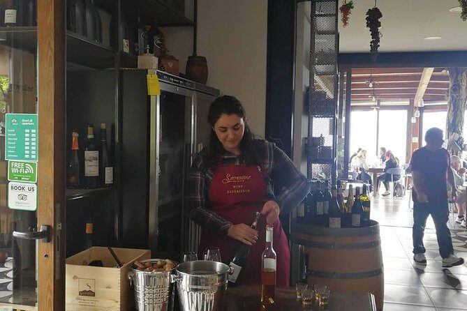 Wine & Food Tour at the Vesuvius Winery - From Naples to the winery: comfort matters more than you think
