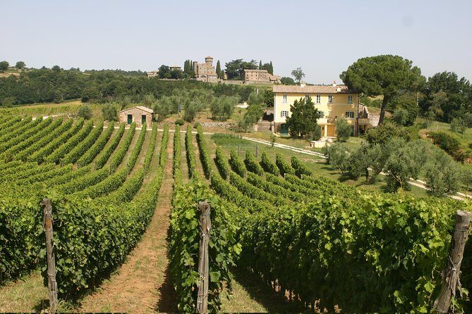 Wine Tasting and Winery tour - Key highlights to look forward to