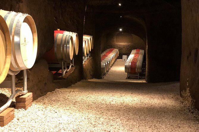 Wine Tasting and Winery tour - Vineyard Walk: the vine work you can actually picture