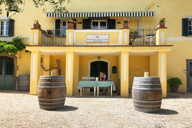 Wine Tasting and Winery tour - The Etruscan tuff-stone barrel cellar: where the building tells the story