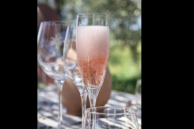 Wine Tasting and Winery tour - Price and value: is $42.05 worth it?