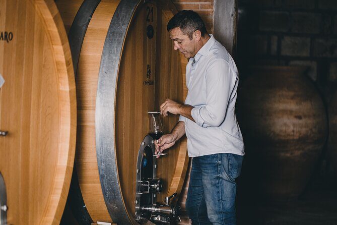 Wine Tasting and Winery Tour in Vesuvio National Park with Lunch - Key details that matter before you go