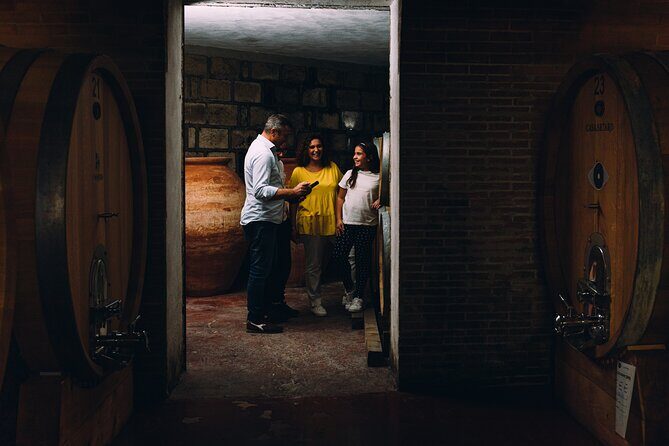 Wine Tasting and Winery Tour in Vesuvio National Park with Lunch - Why a Vesuvius Winery Tasting in the UNESCO Park