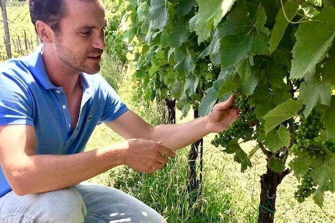 Wine Tasting and Winery tour - Inside the cellars: from grapes to wine without the boring parts