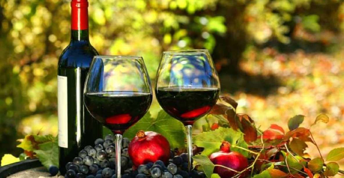 Wine Tasting Experience on the slopes of Vesuvius - Quick hits before you go