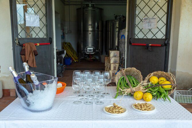Wine Tasting in Campi Flegrei from Naples - Timing and group size: how the day stays friendly