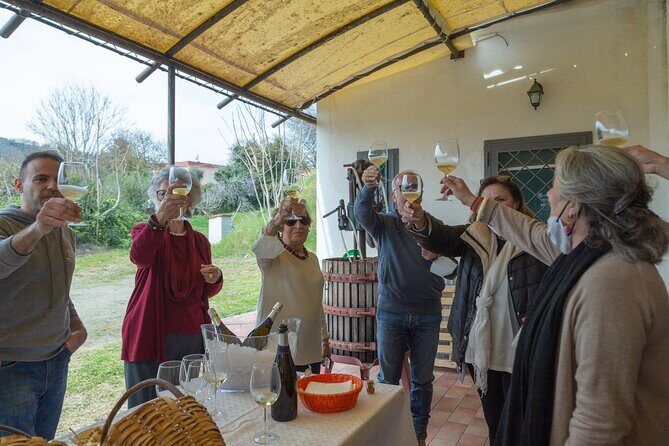 Wine Tasting in Campi Flegrei from Naples - Price and value: what you’re paying for