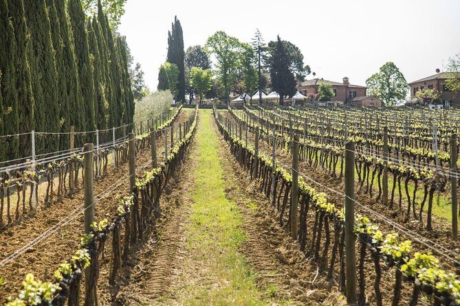 Wine tasting in Montepulciano and visit to Pienza, in Tuscany from Rome - Quick hits before you go