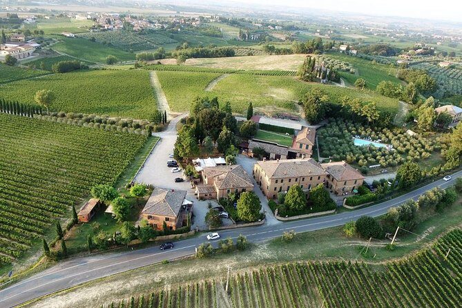 Wine tasting in Montepulciano and visit to Pienza, in Tuscany from Rome - Winery time in Montepulciano: Nobile, Vin Santo, and how to taste