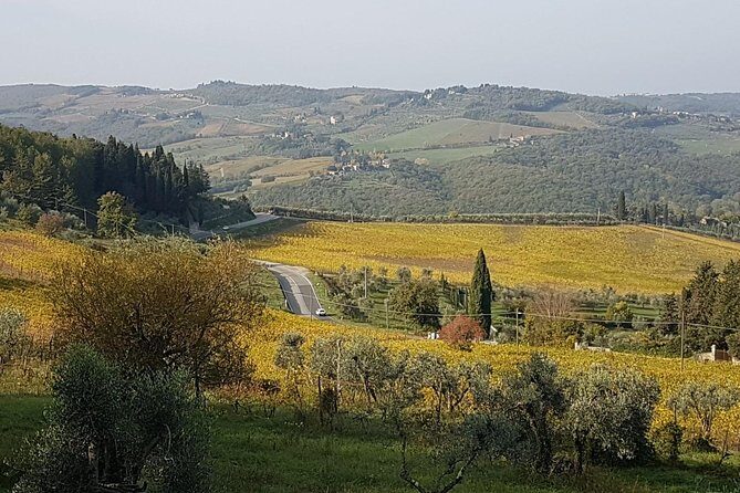 Wine tasting in Montepulciano and visit to Pienza, in Tuscany from Rome - Language and guide tips: make the tasting click