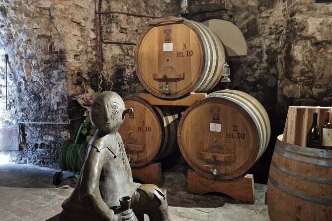 Wine Tasting in Montepulciano Tuscany Private Tour from Rome - Rome Morning Pickup To Montepulciano’s Piazza Grande
