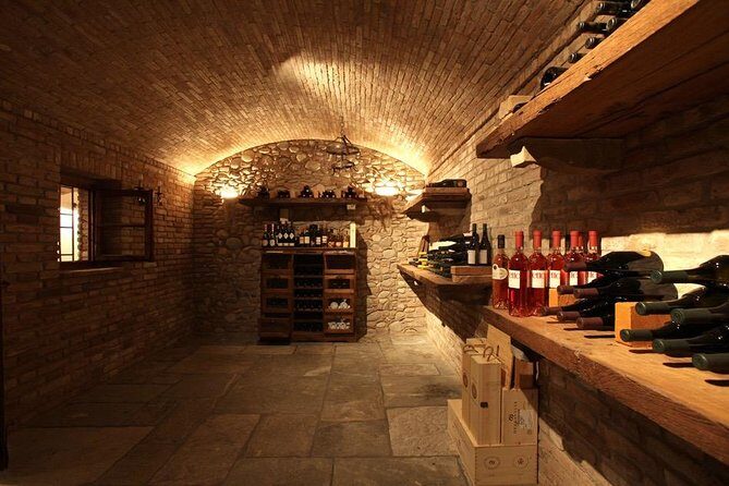 Wine tasting in Roman Countryside: 3-hour tour from Rome - Wine and Olive Oil Pairing: How to Taste Like You Mean It