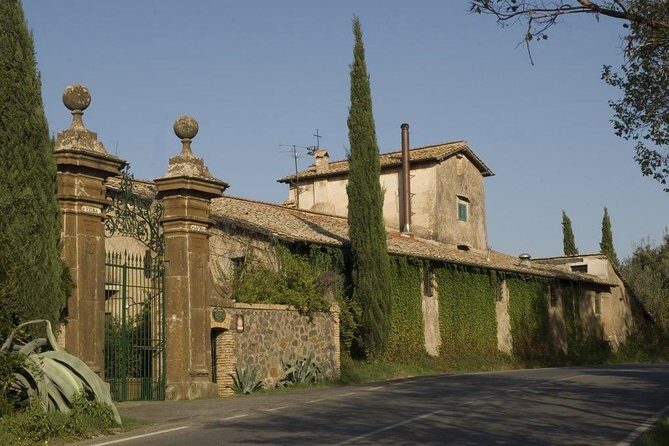 Wine tasting in Roman Countryside: 3-hour tour from Rome - The Tasting: Three Wines, Extra Virgin Olive Oil, and Snacks That Make Sense