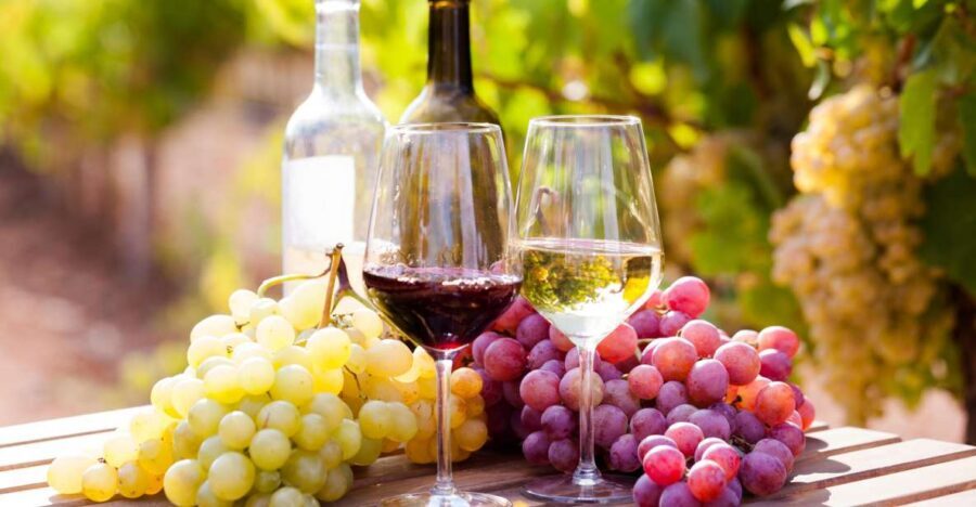 Wine tasting in the Vesuvius National Park - Key Highlights at a Glance