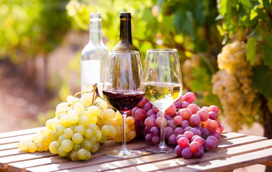 Wine tasting in the Vesuvius National Park - Finding Porta Marina Superiore and Via Marina, 6