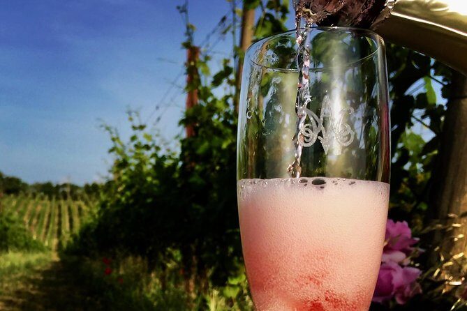 Winery tour and wine, cheese & charcuterie tasting - Orvieto logistics: getting to Madonna del Latte without a car