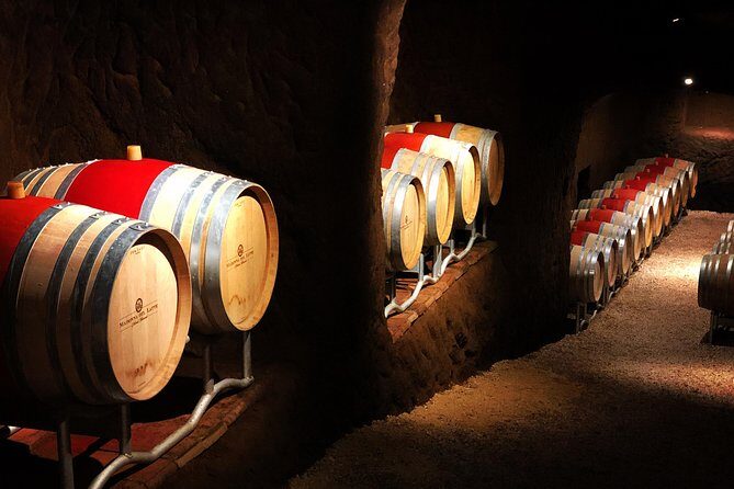 Winery tour and wine & cheese tasting - Wine and Cheese Pairing: 4 Wines With Local Goat Cheese